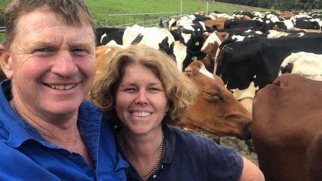 A man and woman stand in front of dairy cattle.