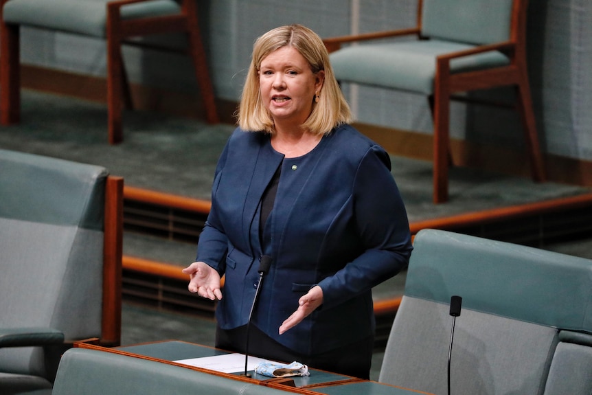 Bridget Archer standing and addressing the House of Represenatives