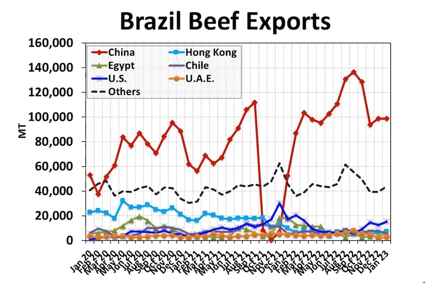 Brazil beef exports graph