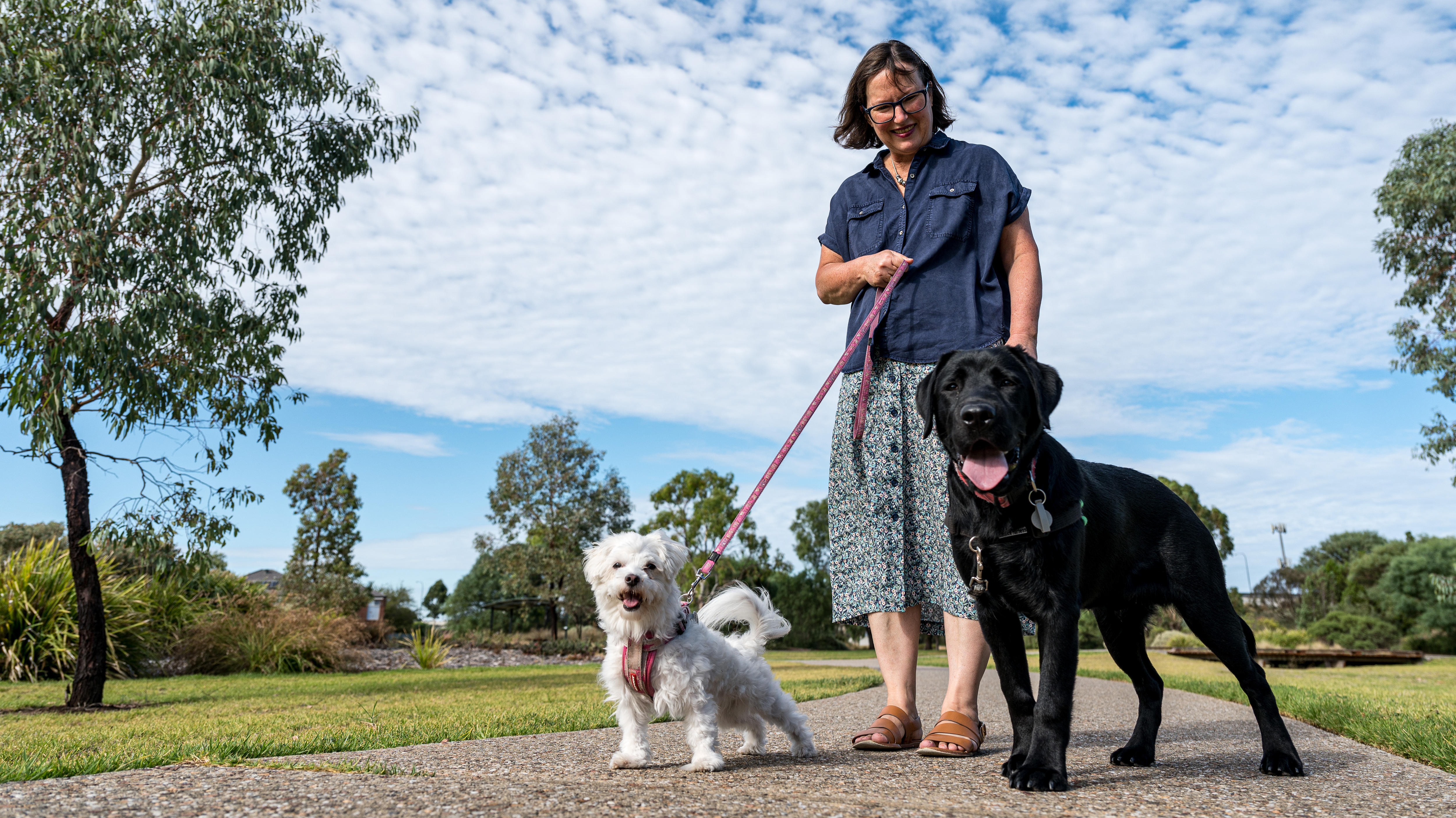 A woman stands in a park with two dogs 