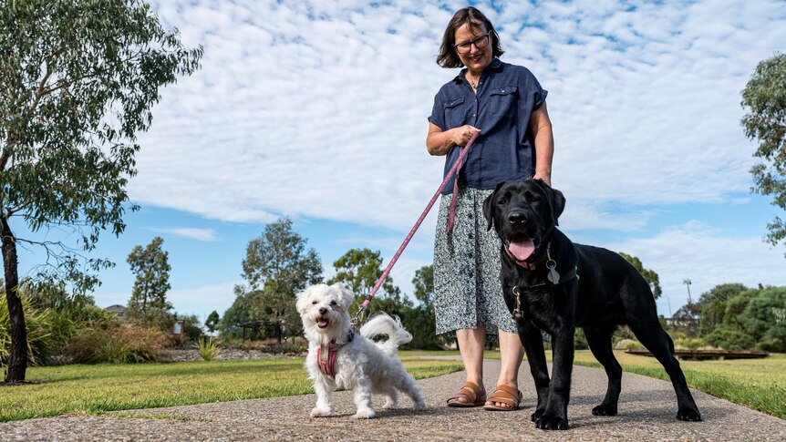 A woman stands in a park with two dogs - a Labrador and a Maltese