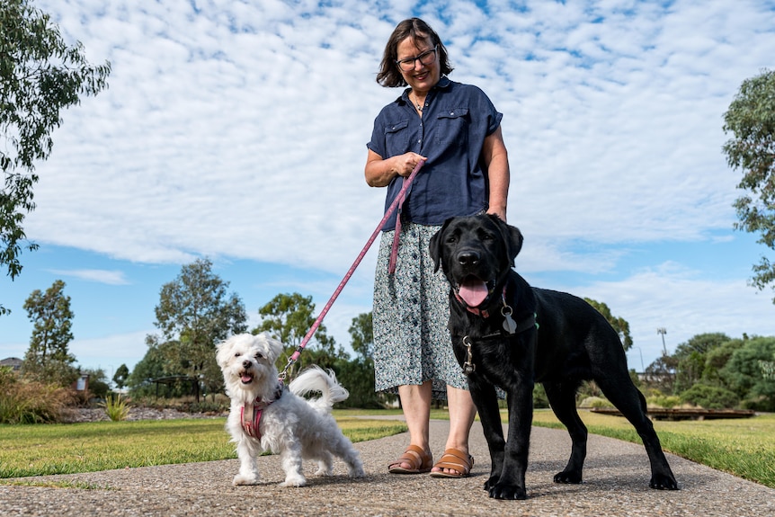 A woman stands in a park with two dogs 