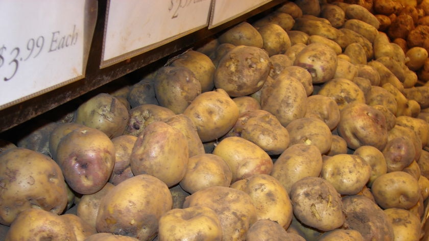 A pile of potatoes.