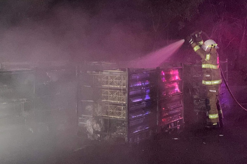 A firefighters hoses down crates in the dark