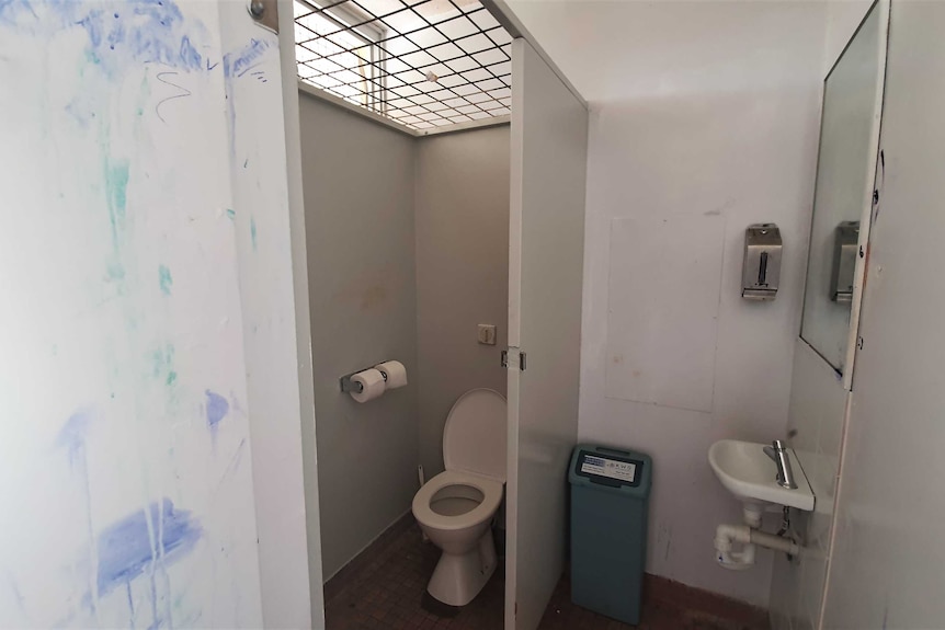 A white toilet cubicle with cage over top, graffiti on wall and sink in corner.