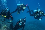 Four scuba divers in wet suits, hover in deep blue water, with coral underneath them