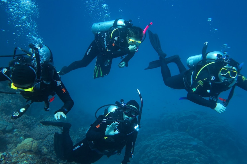 Four scuba divers in wet suits, hover in deep blue water, with coral underneath them