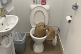Sand bag in a toilet.