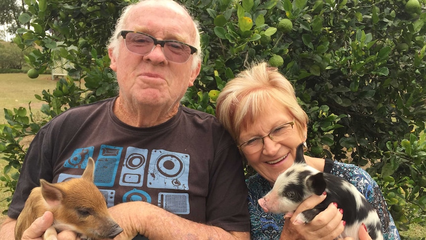 Crystal and Peter hold two mini pigs in their arms