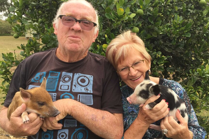 Crystal and Peter hold two mini pigs in their arms