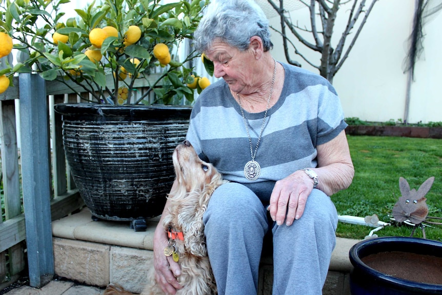 Rexy looking up at her owner Ms Jacobovski, 27 August 2014.