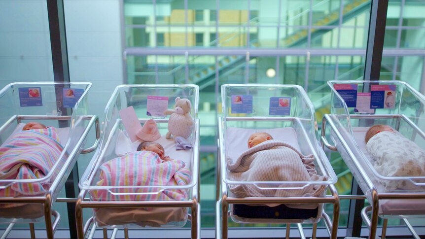 Four babies in their cribs at Mater Hospital.