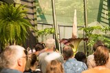 A Titan Arum 'corpse flower' in full bloom attracting lots of tourists.