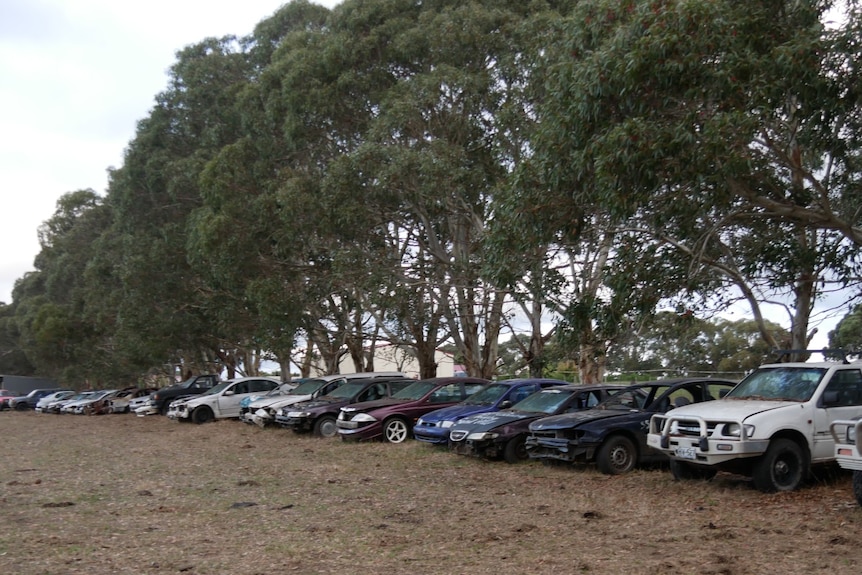 line up of old cars