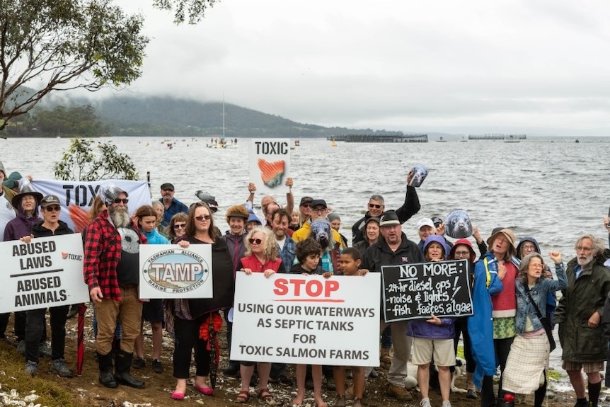 A group of protesters hold up signs as they stand in front of the river.