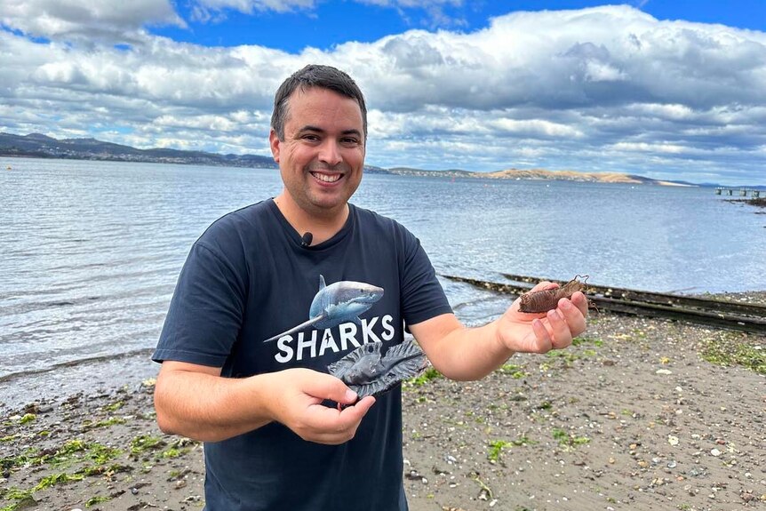 A smiling man in a t-shirt with an image of a shark holds up two palm-sized shapes on the water's edge