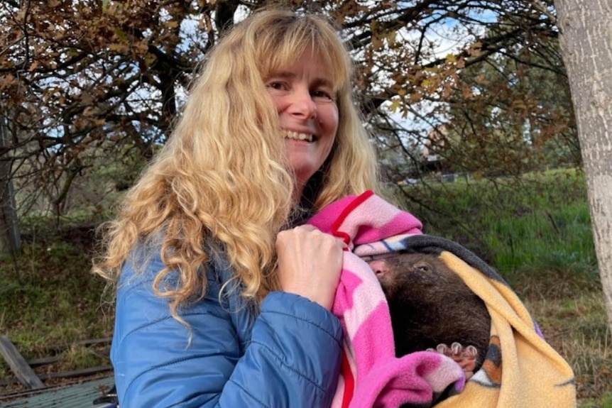 Katja Gutwein with a wombat in blankets.