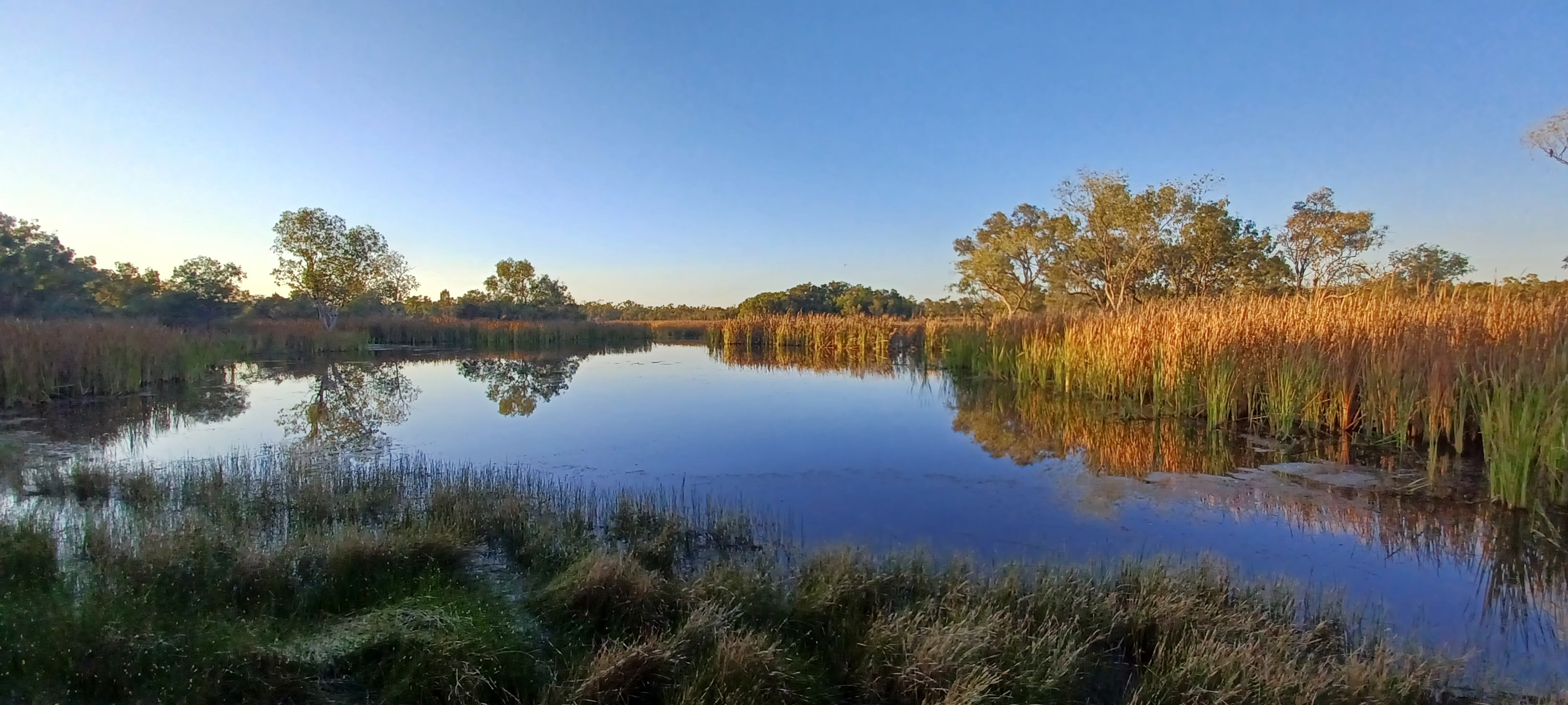 abc.net.au - ABC News - Adani launches attack on scientists who revealed new evidence of mining risks to the protected Doongmabulla Springs