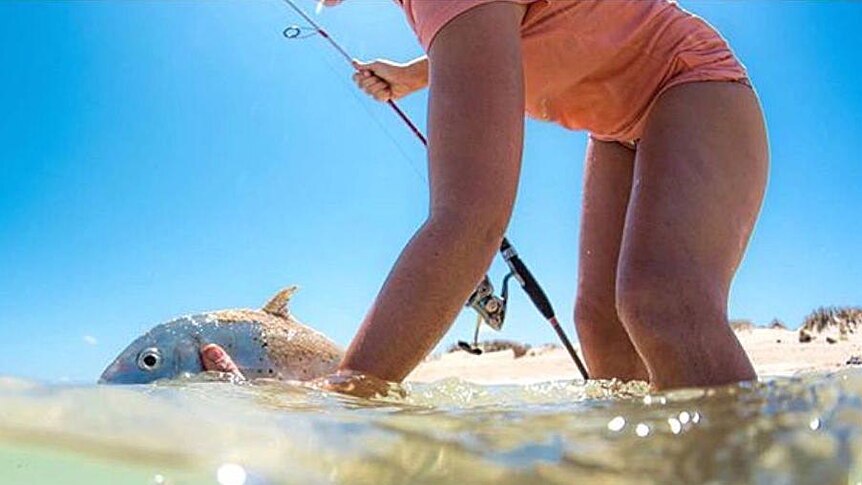 Water level view of a bare-legged angler holding a fish in shallow water at a beach.