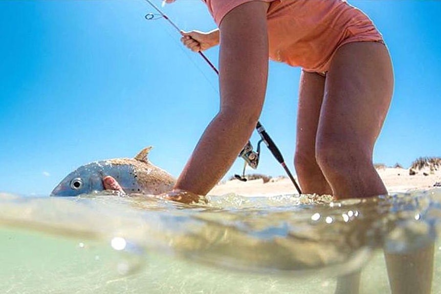 Water level view of a bare-legged angler holding a fish in shallow water at a beach.