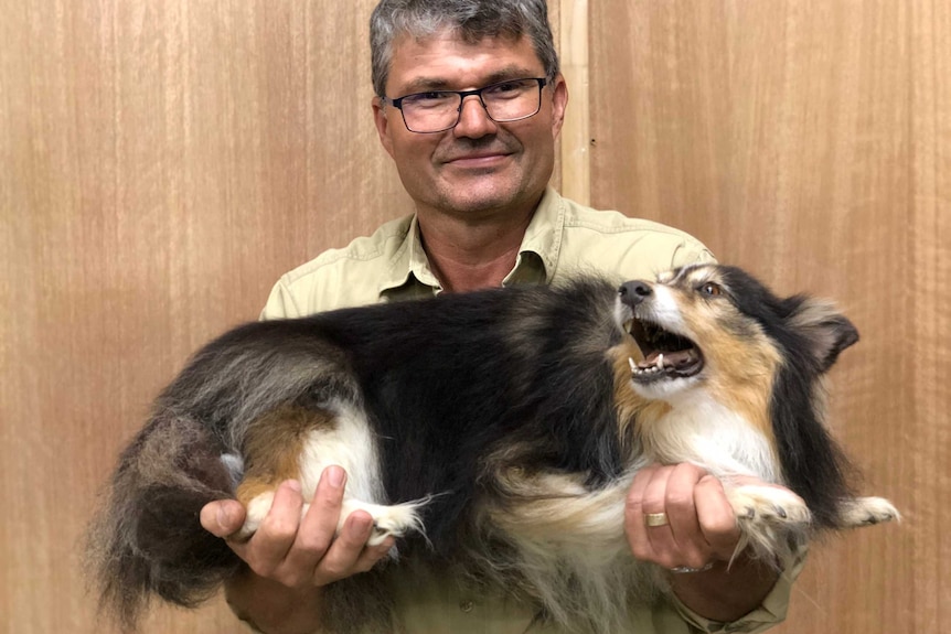 a man holding a preserved pet dog