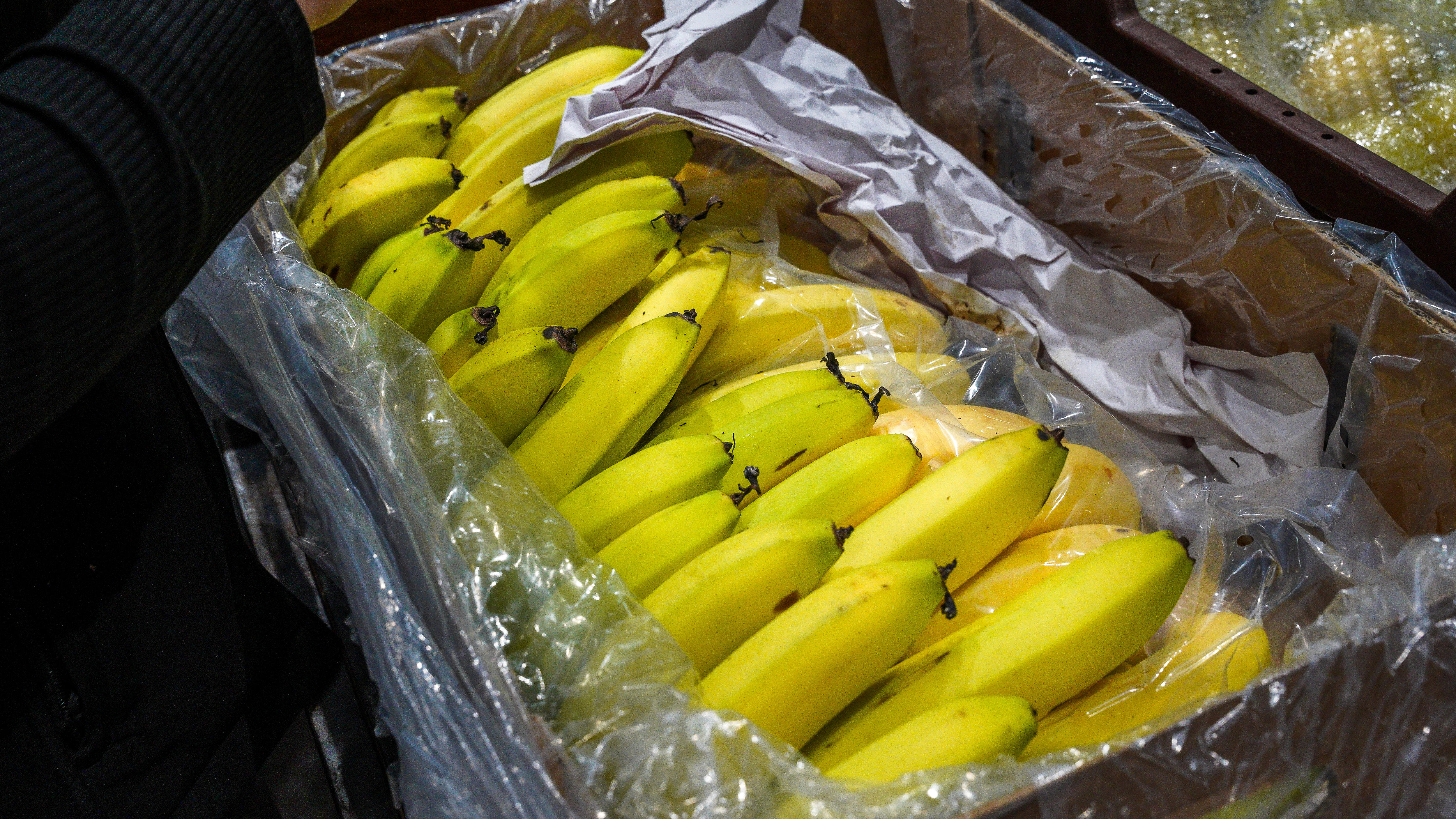 Banana industry opposes overseas imports of Australia's most popular fruit