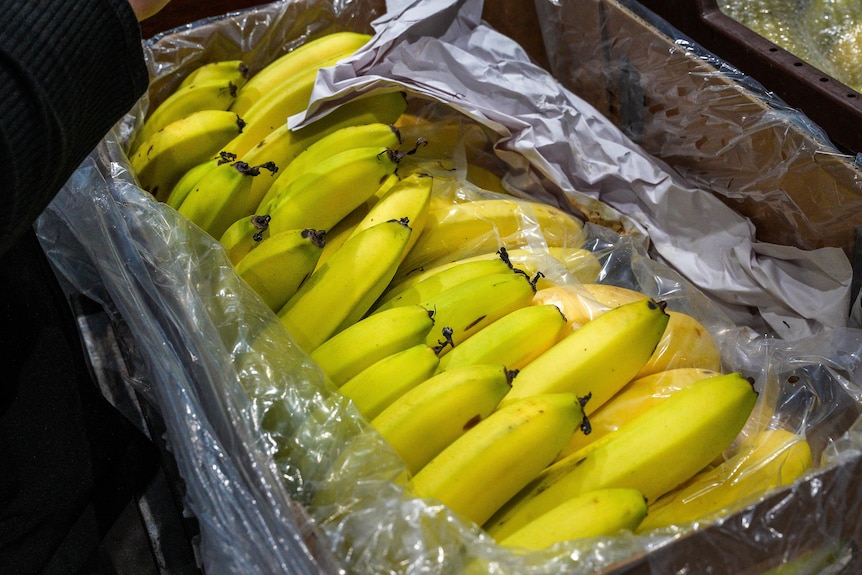 Box of bananas in a supermarket