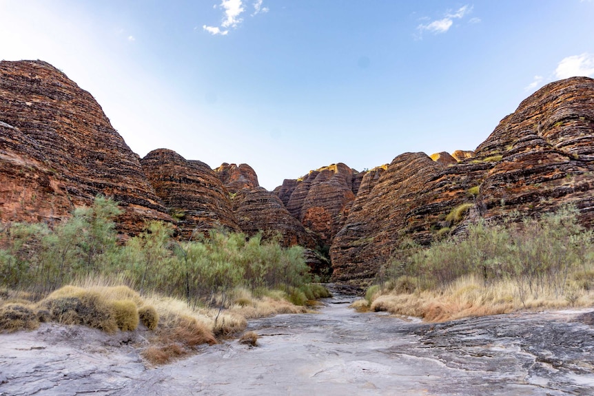 A pathway leads into an outback gorge