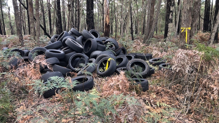 A large group of tyres