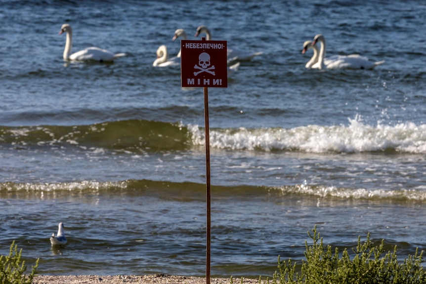 A sign reads "Danger! Mines!" at a beach as swans enjoy the waters of the Black Sea.