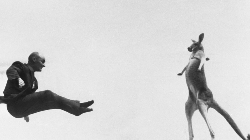 A man and a kangaroo jump on a trampoline.