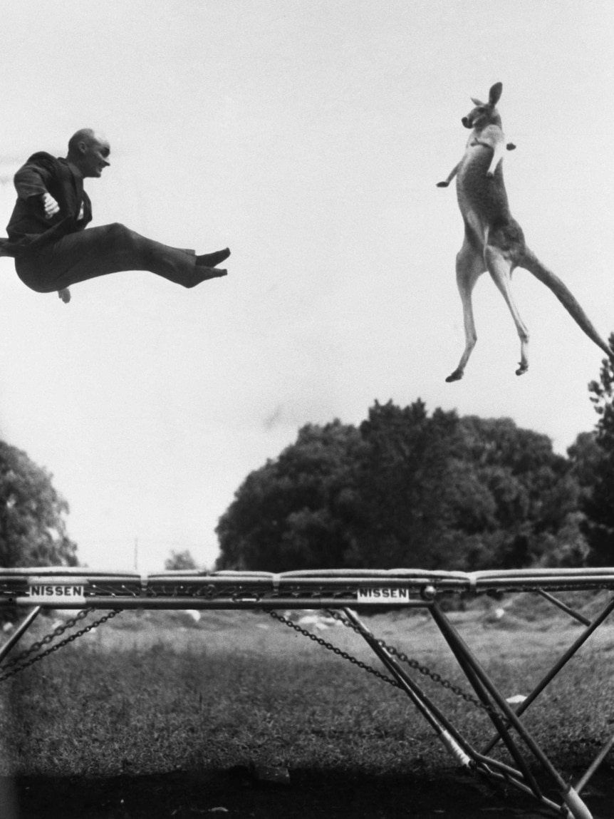 A man and a kangaroo jump on a trampoline.