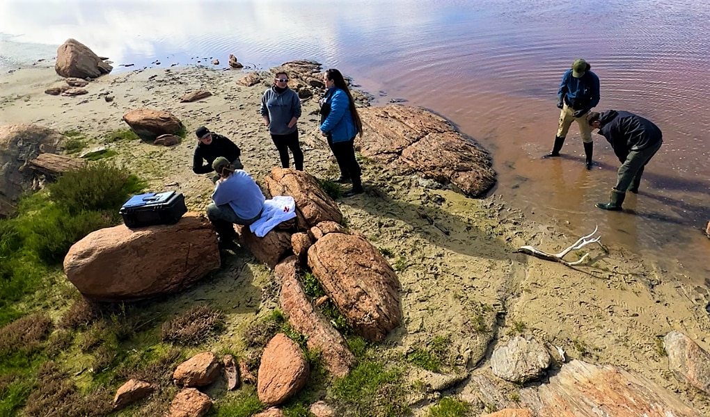 Six researchers, two wear waders and stand in water, two sit on rocks with notepads, two stand and talk.