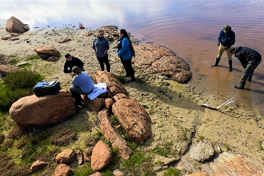 Six researchers, two wear waders and stand in water, two sit on rocks with notepads, two stand and talk.
