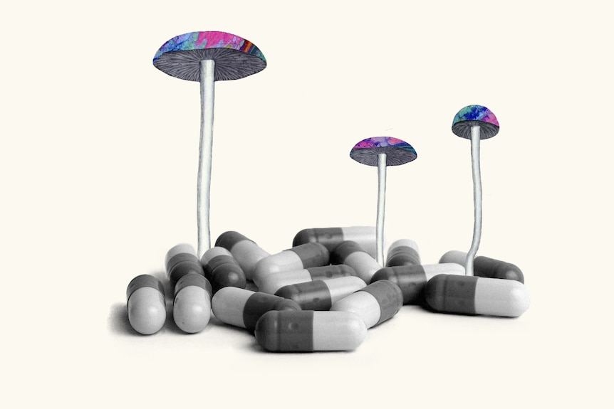 A collage of three tall multi-coloured mushrooms growing out of a small pile of black and white capsule-style pills.