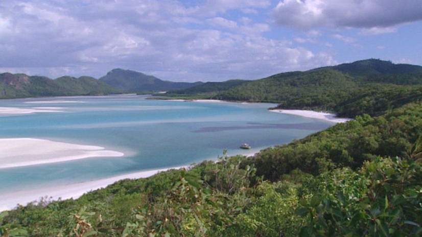 National park forest, beach and ocean in the Whitsundays region in north Qld.