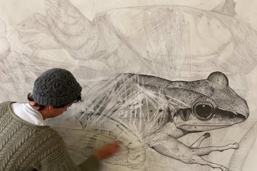 Lucienne Rickard draws then erases extinct species