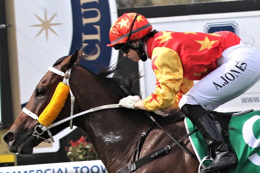 Close-up of female jockey in red and yellow silks riding a brown horse.