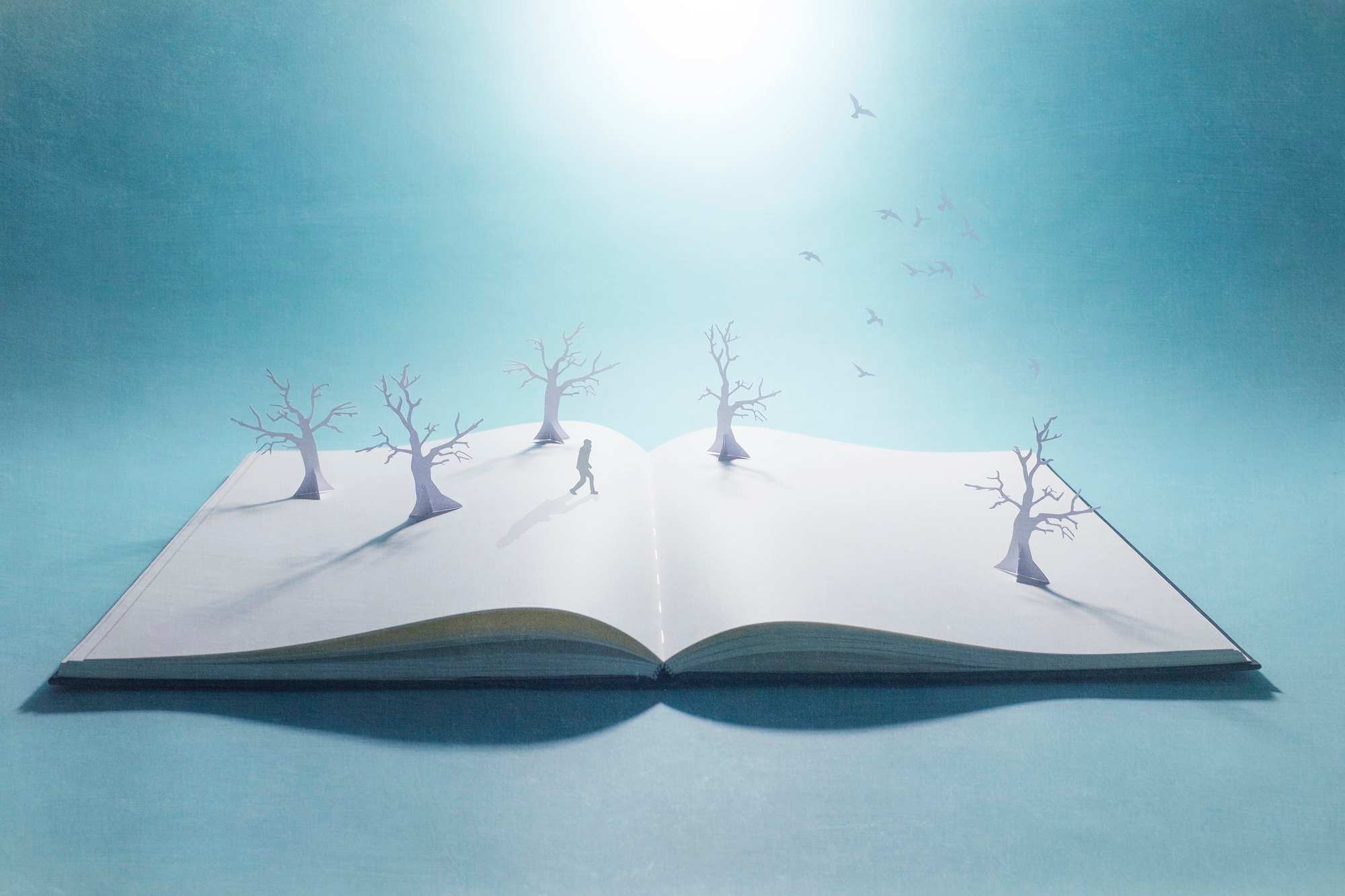 Drawing of a book with tress and people growing out of the pages