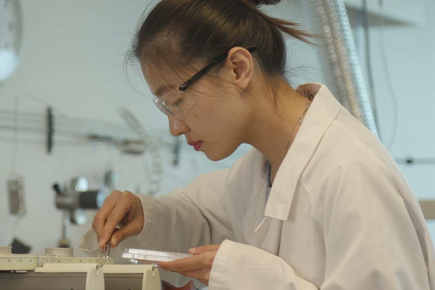 Xiaoteng Zhou testing honey