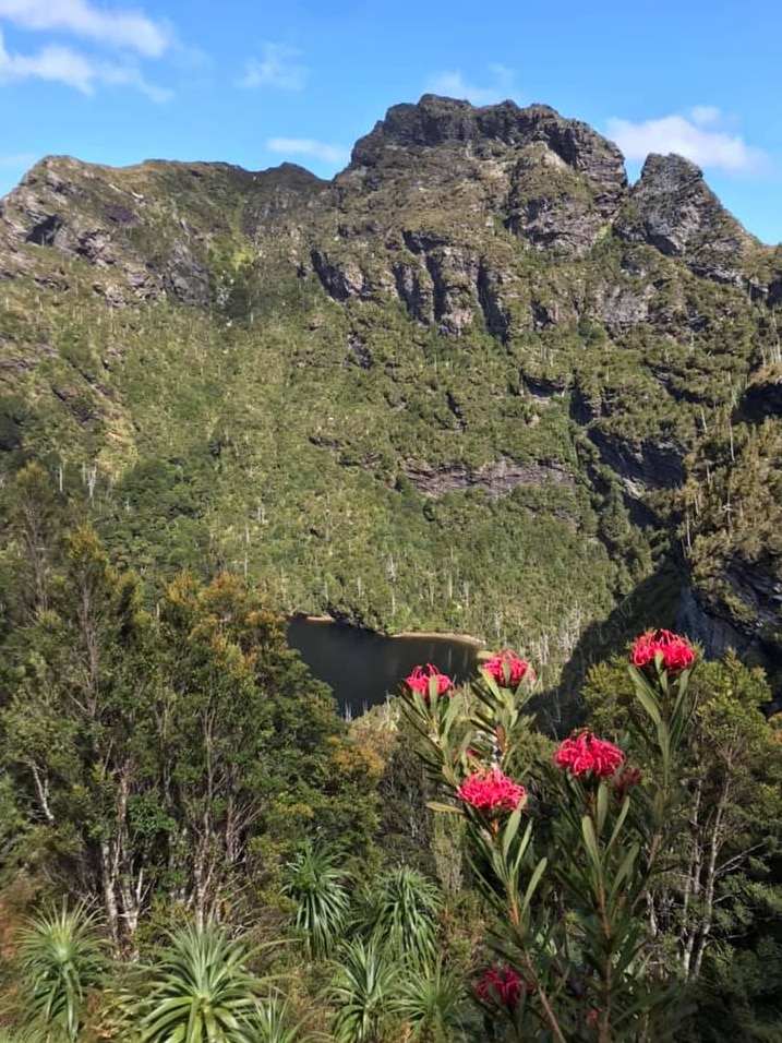 Picture of five red flowers with a lake and mountain the background