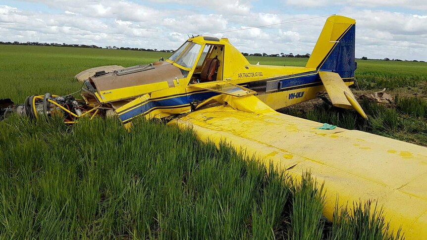 the wreck of a yellow plane sits in a field of crop