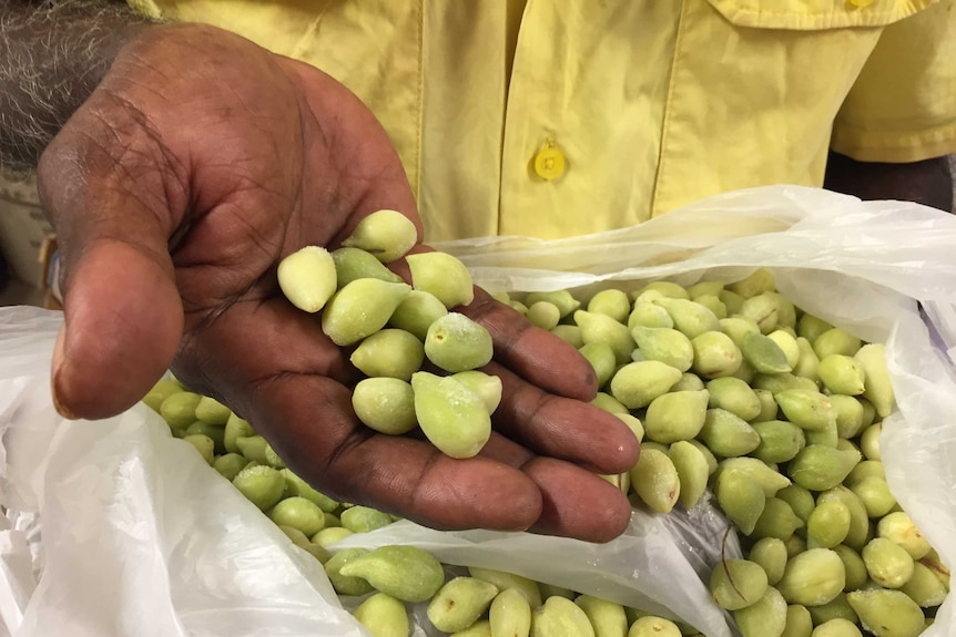 Frozen gubinge in a man's hand,