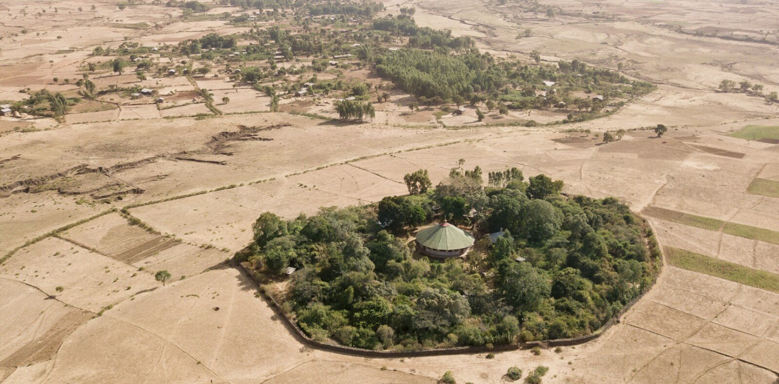 Sacred landscapes: the forest as mirror and sanctuary