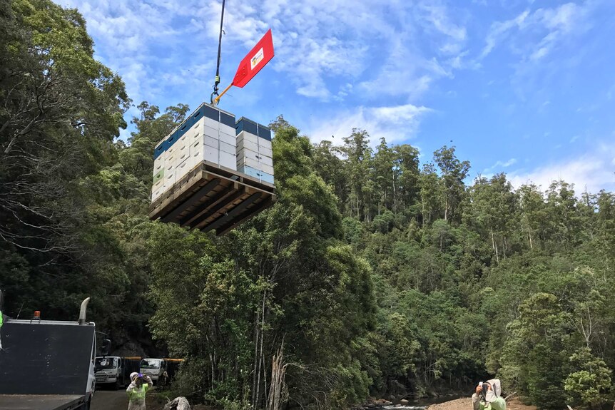 Hives lifted by helicopter