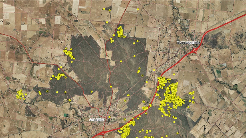 Satellite map of rural area with yellow dots depicting where birds where observed.