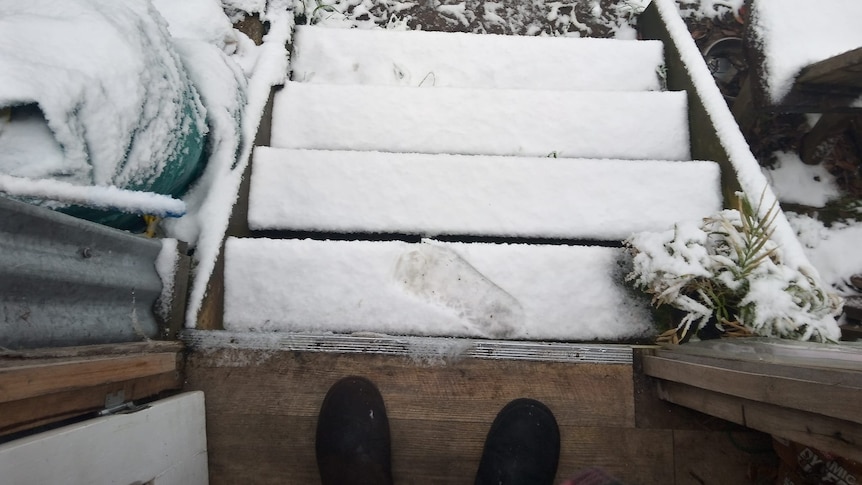 Snow on steps at rural house.