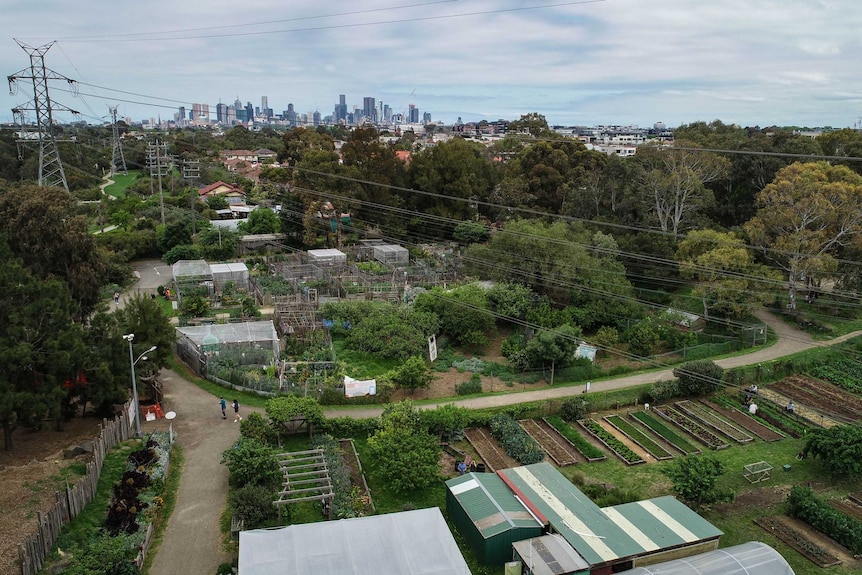 An urban farm in East Brunswick, Melbourne