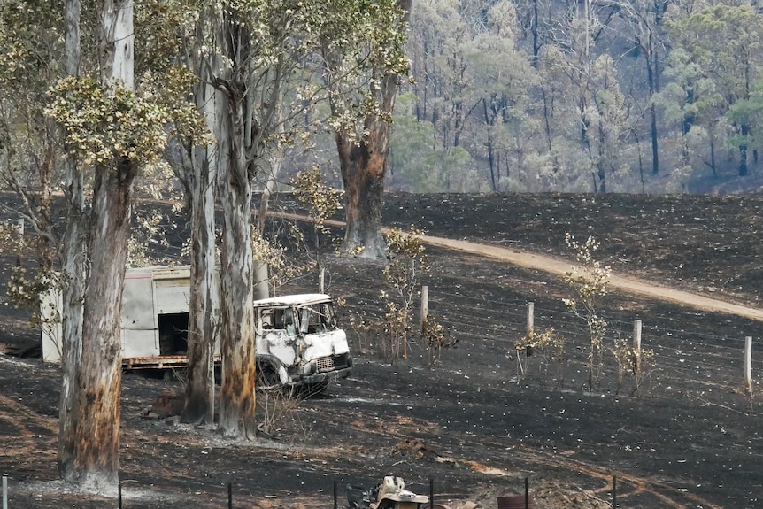 A burnt out truck, on a blackened paddock in a fire ground.