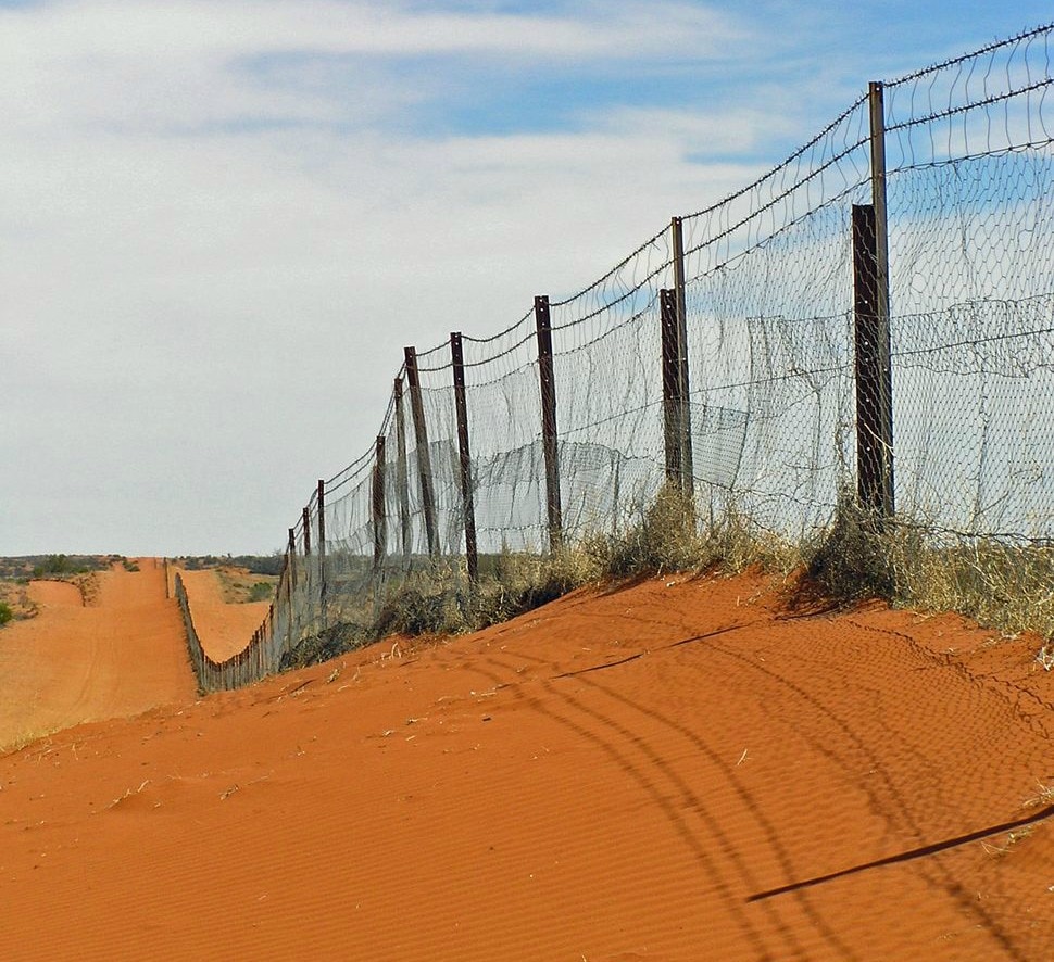 Забор в австралии реальное